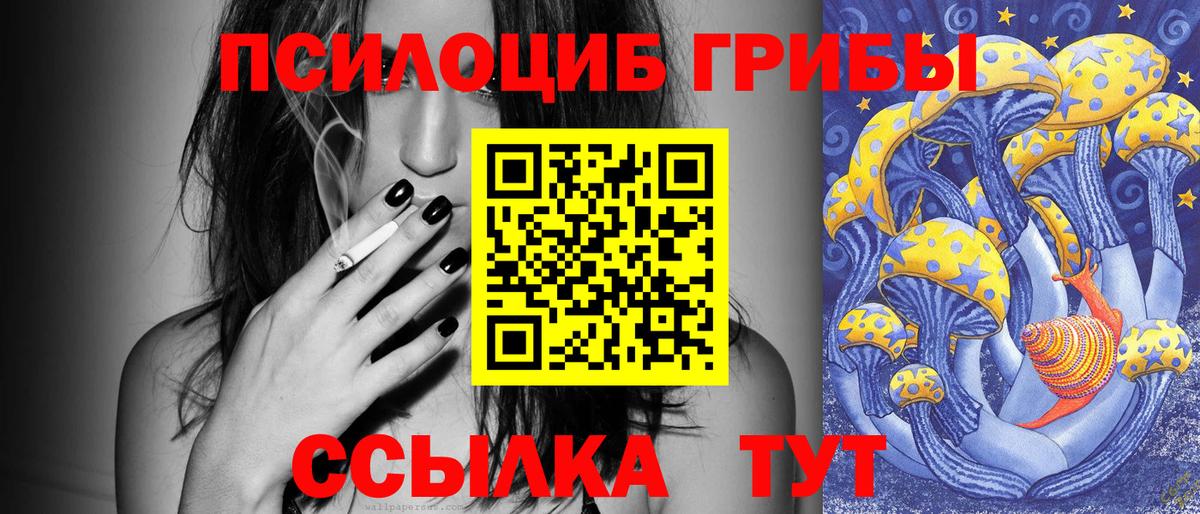 Псилоцибиновые грибы ЛСД  Вход с VPN  Псилоцибиновые грибы прущие грибы  Гурьевск 