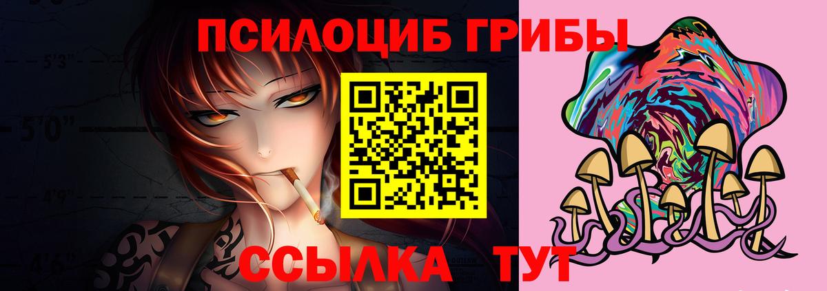 Гурьевск  ГАШ  MDMA  Меф   МЕФ   Конопля  ЭКСТАЗИ  A-PVP СОЛЬ кристаллы  АМФ   КОКАИН  МАРИХУАНА 