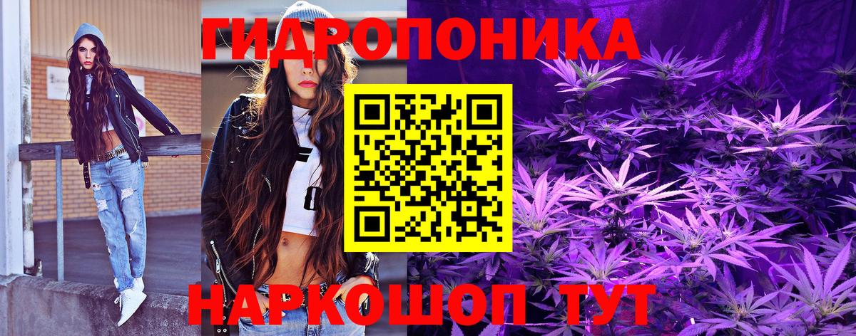 Конопля тримм  Бошки марихуана THC 21%  Гурьевск  Вход с VPN  Каннабис AK-47 